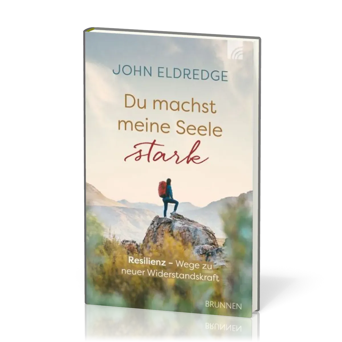Du machst meine Seele stark - Resilienz - Wege zu neuer Widerstandskraft