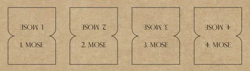 Bibel-Griffregister Kraftpapier