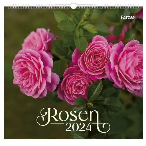 Rosen - Wandkalender