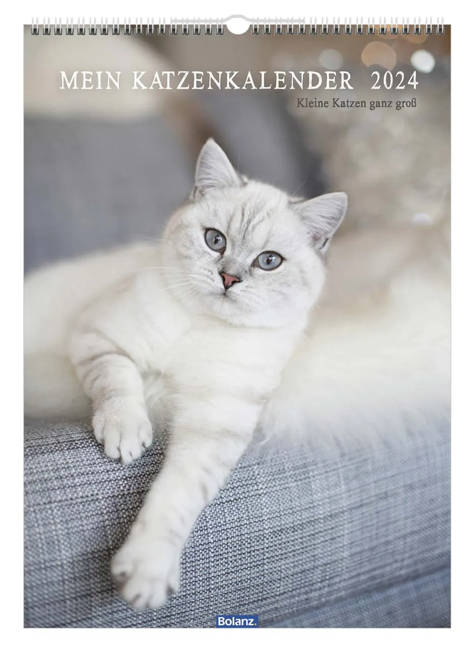 Kalender Mein Katzenkalender - Posterkalender