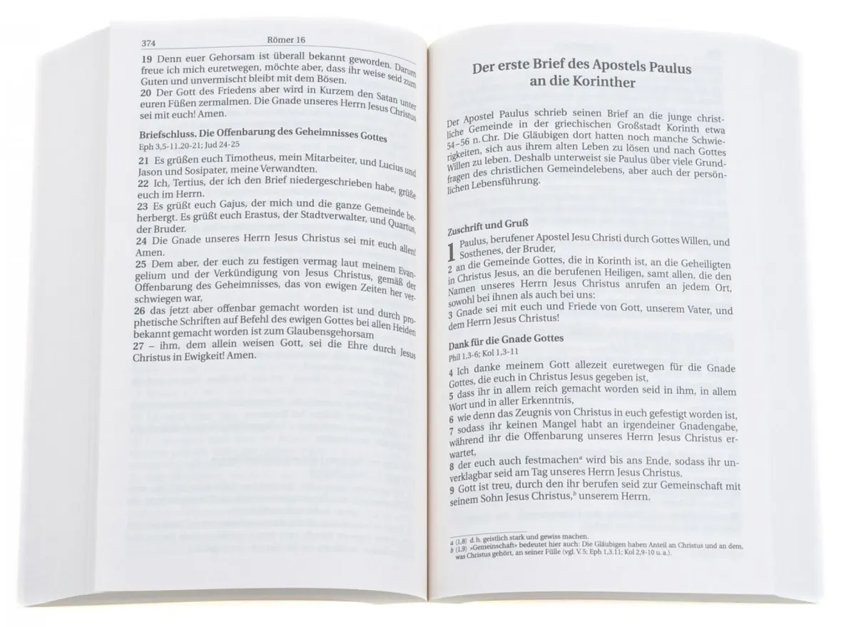 Schlachter 2000, NT - Paperback, illustrierter Umschlag