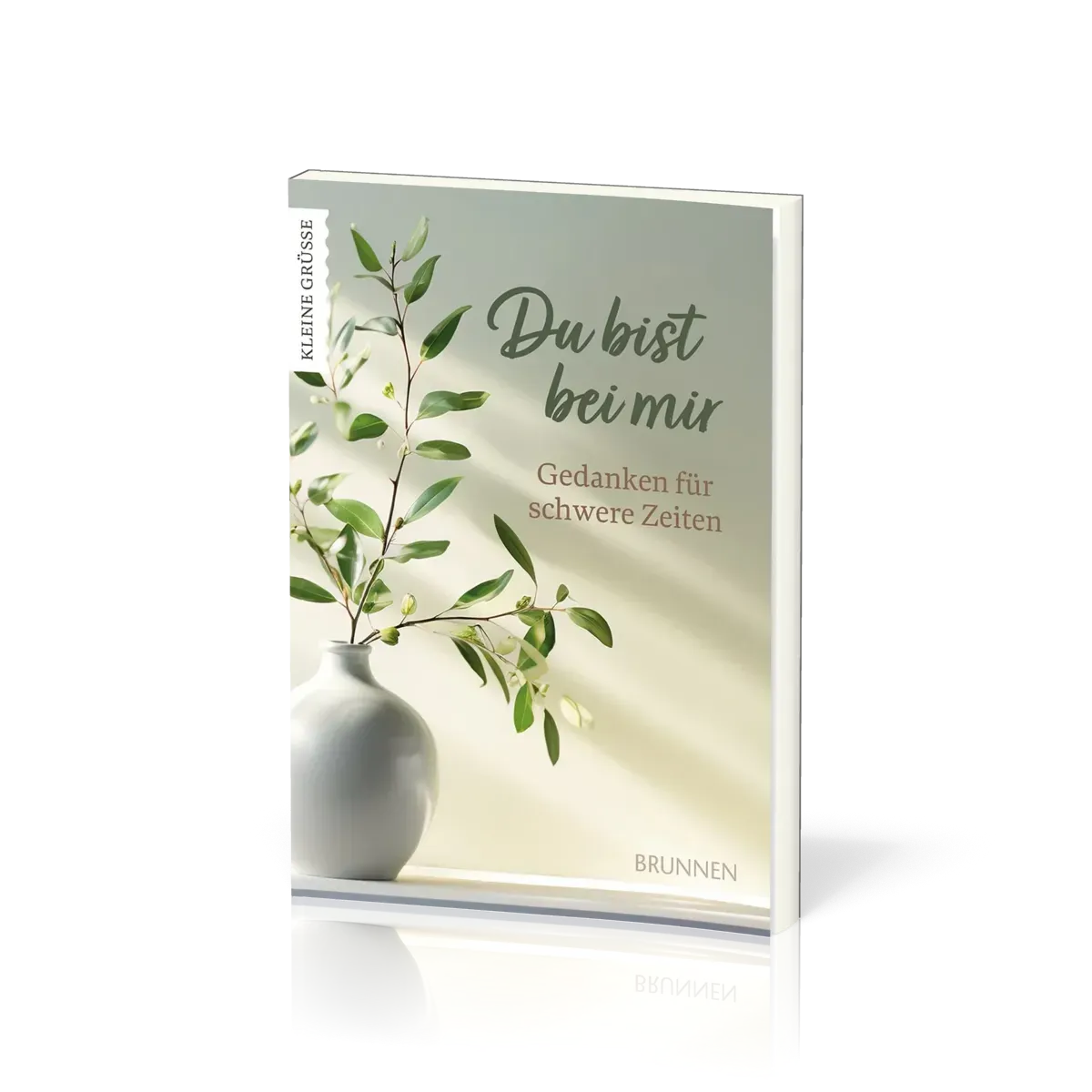 Du bist bei mir - Gedanken für schwere Zeiten