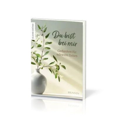 Du bist bei mir - Gedanken für schwere Zeiten