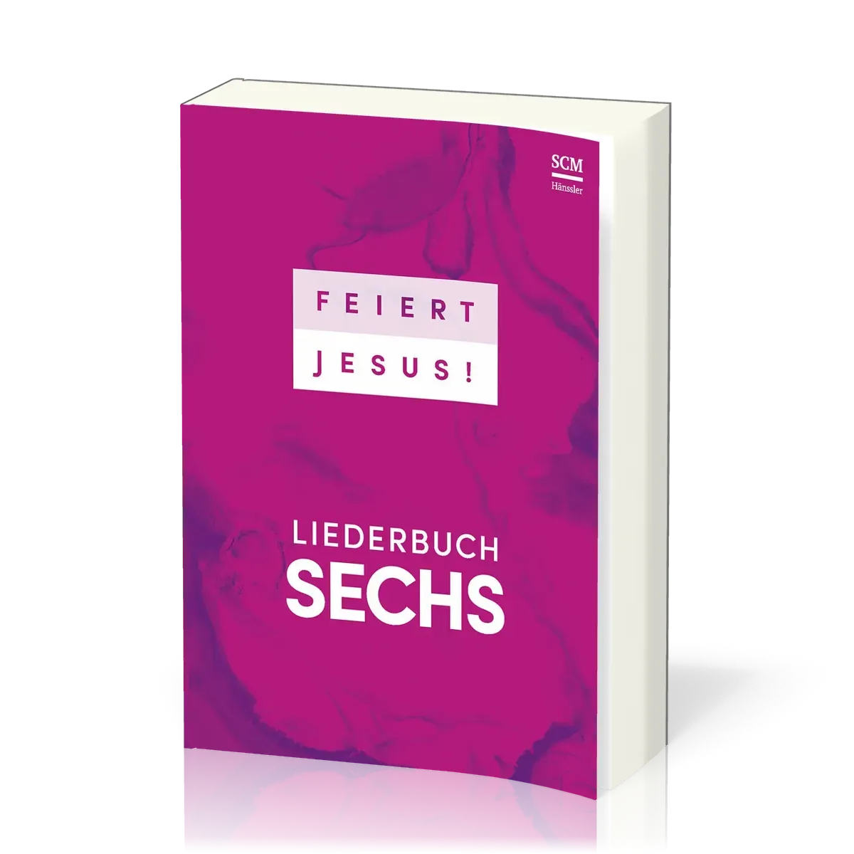 Feiert Jesus! 6 - Liederbuch - Ringbuchausgabe - Endlich ist es wieder so weit: Der sechste Band...