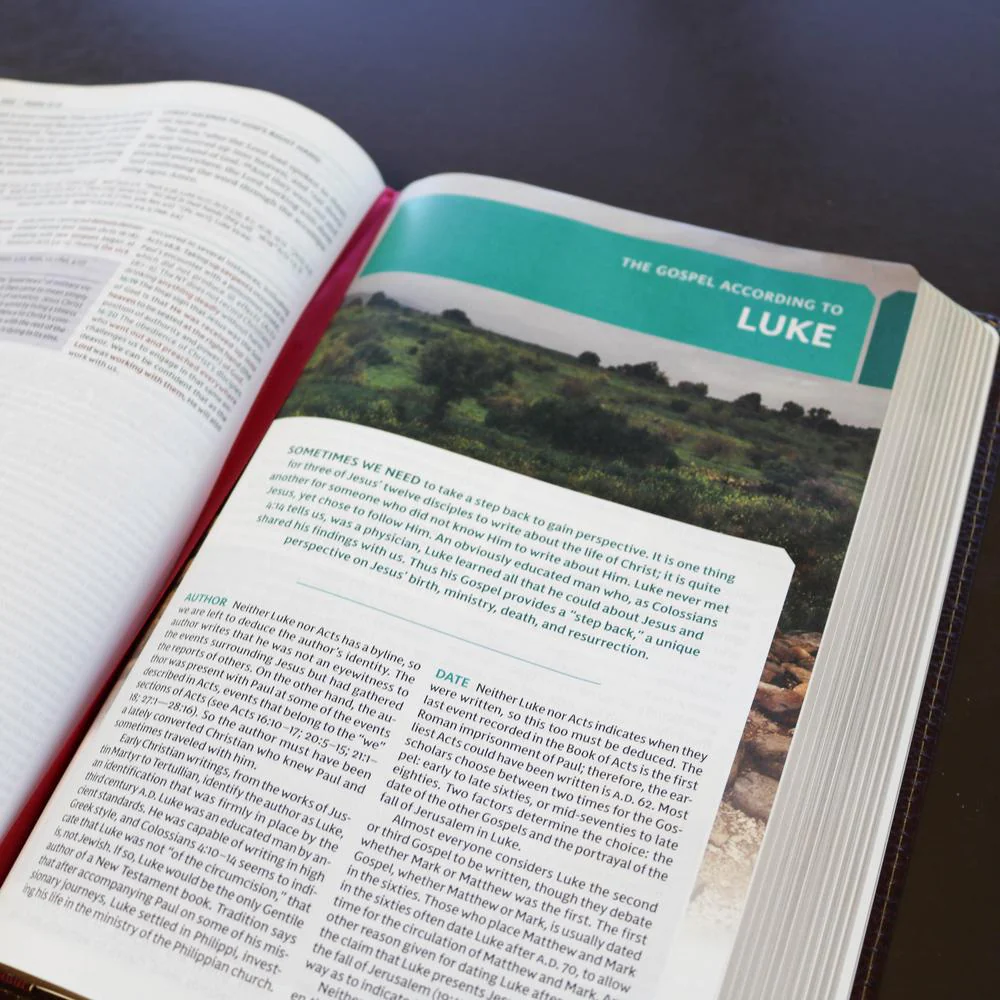 Englisch, Studienbibel New King James Version, Grossdruck, Hardcover, illustrierter Einband,...