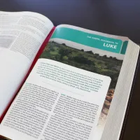 Englisch, Studienbibel New King James Version, Grossdruck, Hardcover, illustrierter Einband,...