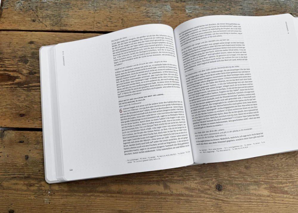 Bibel Menge 2020 NT - Journaling Edition (Umschlag Beige)