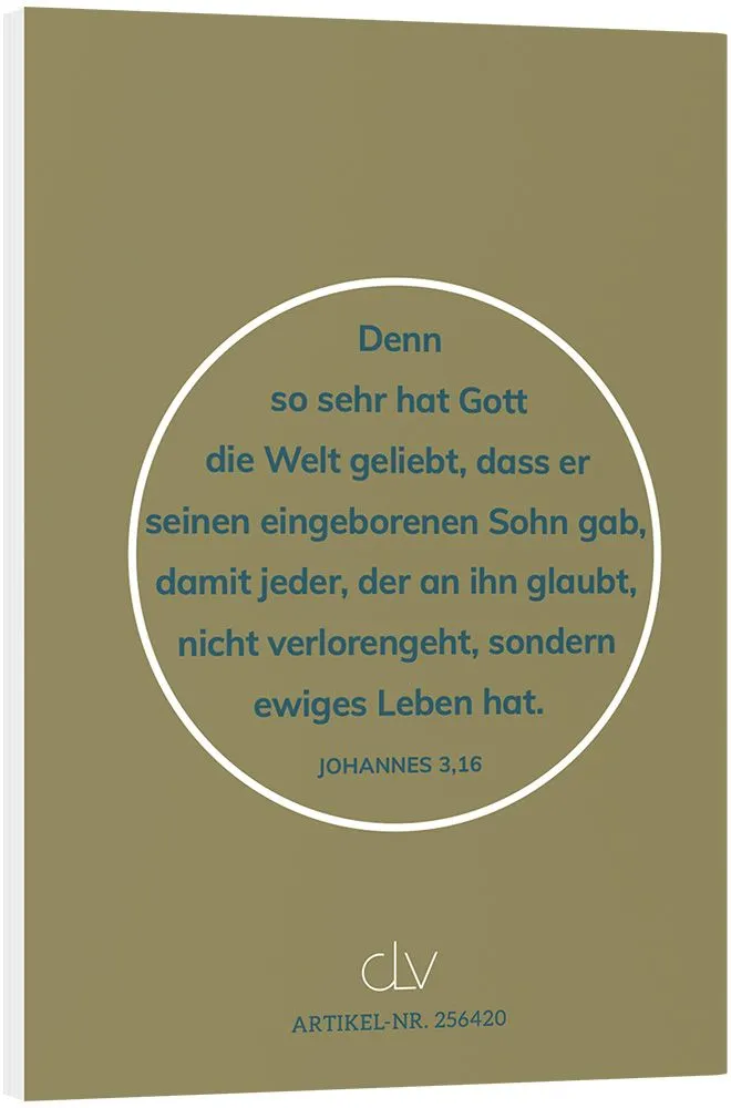 Johannes-Evangelium - Schlachter 2000