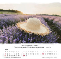 Vivre, avec méditations - Calendrier cartes postales, de table