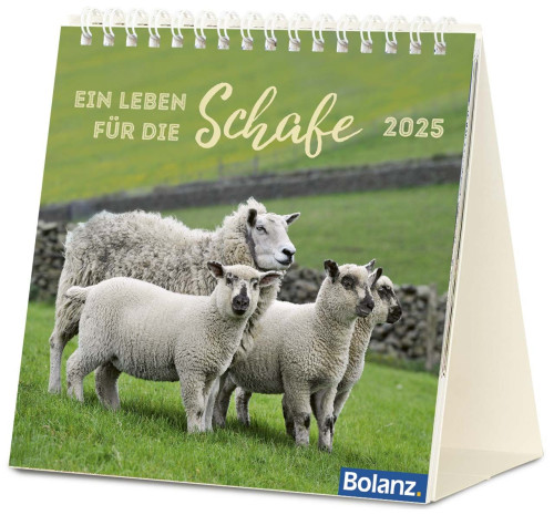 Kalender Ein Leben für die Schafe - Tischkalender