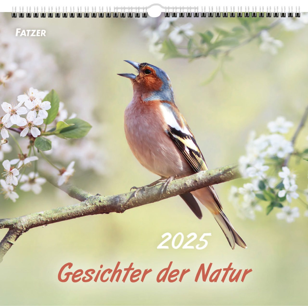 Gesichter der Natur - Wandkalender