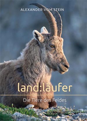 Land:Läufer - Die Tiere des Feldes - Landläufer