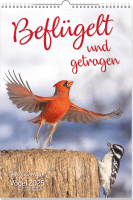 Beflügelt und getragen - Vögel (Wandkalender