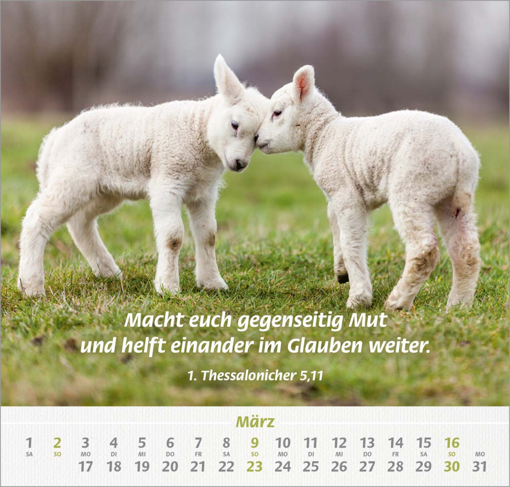 Ich hab dich gern - Wandkalender