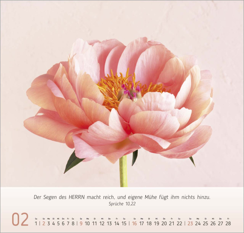 Blumen Impressionen - Wandkalender