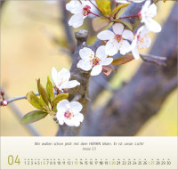 Blumen Impressionen - Wandkalender