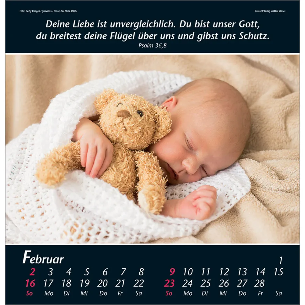 GLANZ DER STILLE - WANDKALENDER