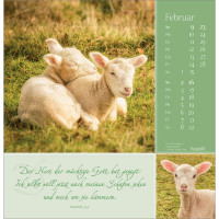 Sei behütet auf allen Wegen - Wandkalender - Impulse und Gedanken zu Psalm 23