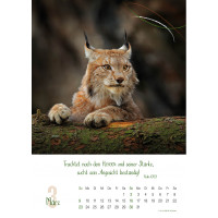 Natur, Wandkalender