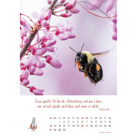 Natur, Wandkalender