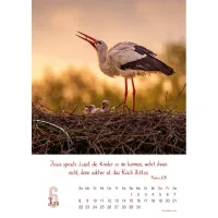 Natur, Wandkalender