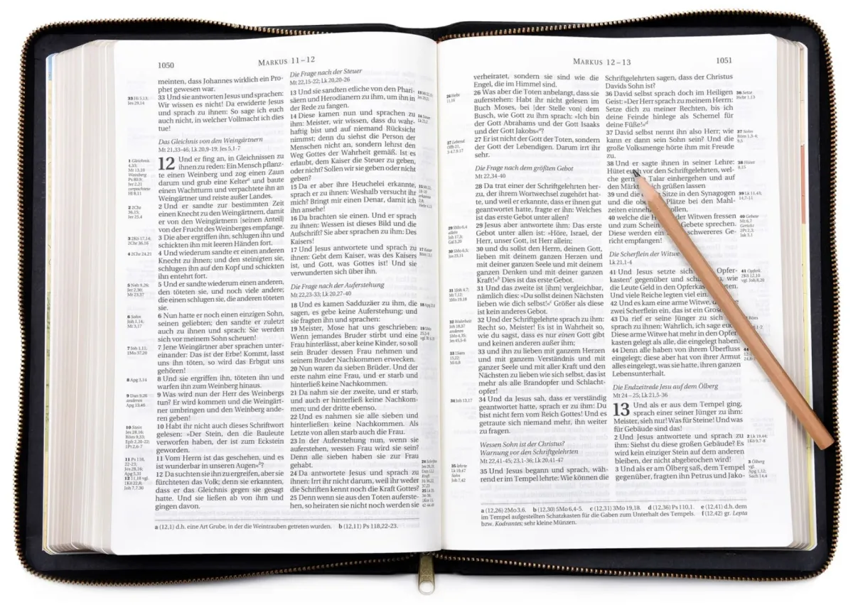 Bibel Schlachter 2000, Vollrindleder, Goldschnitt Mit Reissverschluss