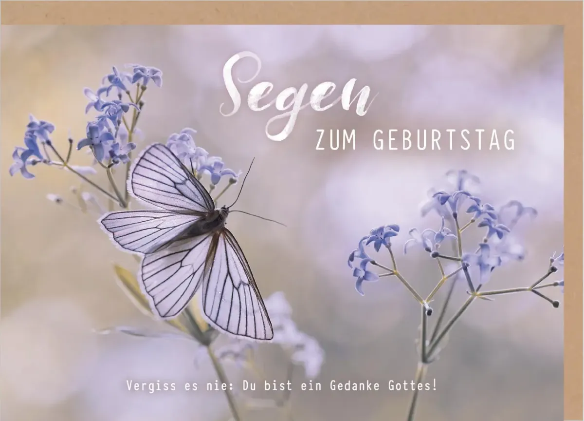 Faltkarte Schmetterling - Segen zum Geburstag