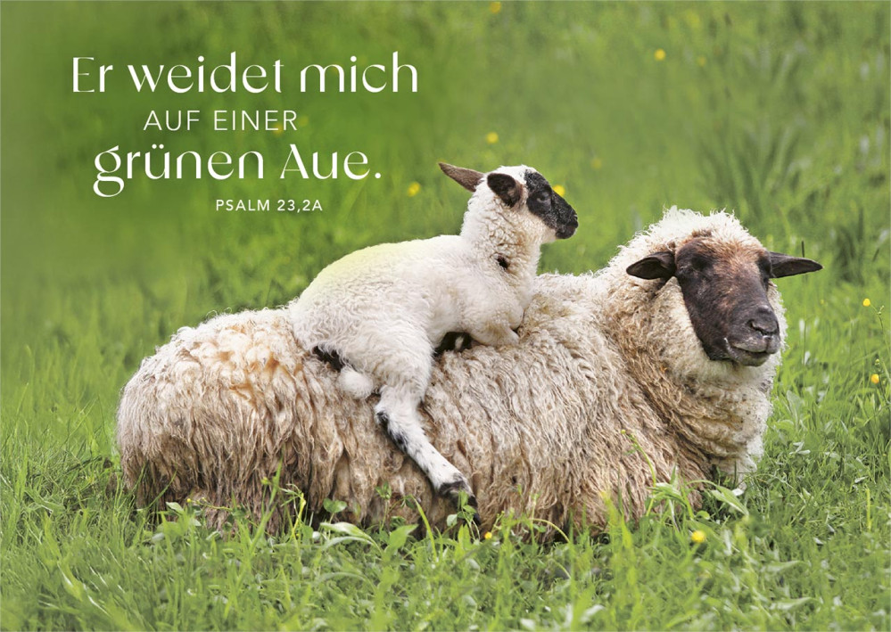 Postkartenbox Psalm 23 - Der HERR ist mein Hirte - 12 verschiedene Postkarten in einer Box mit...