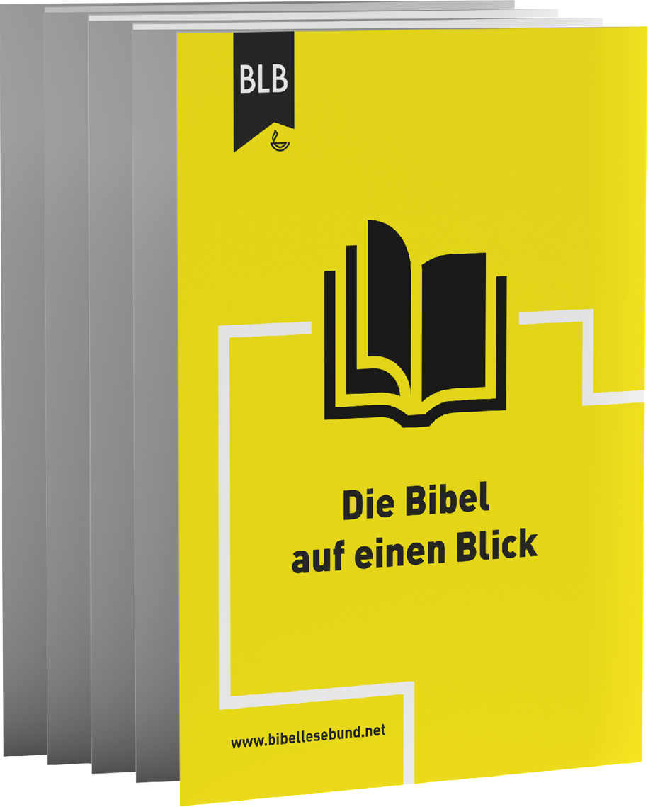 Hallo Bibel - Die Bibel auf einen Blick Leporello - Erhalte einen Überblick über die wichtigsten...