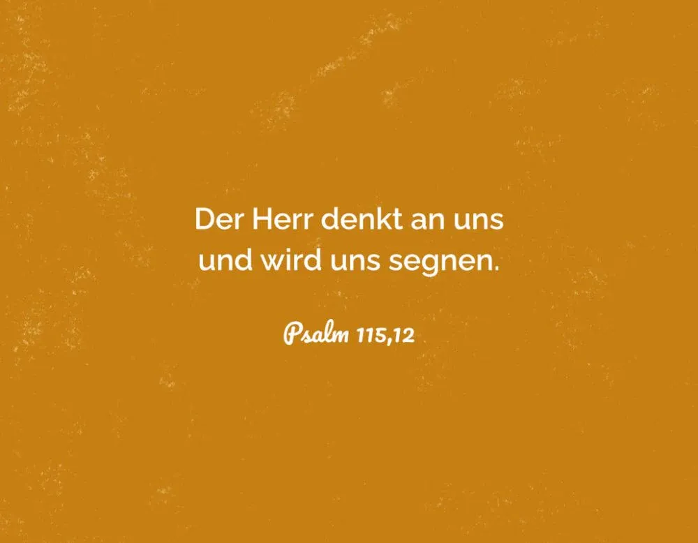 Alltagsermutigung - 50 Bibelverse und Segensworte - Box mit Kärtchen