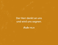 Alltagsermutigung - 50 Bibelverse und Segensworte - Box mit Kärtchen