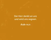 Alltagsermutigung - 50 Bibelverse und Segensworte - Box mit Kärtchen