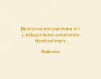 Alltagsermutigung - 50 Bibelverse und Segensworte - Box mit Kärtchen