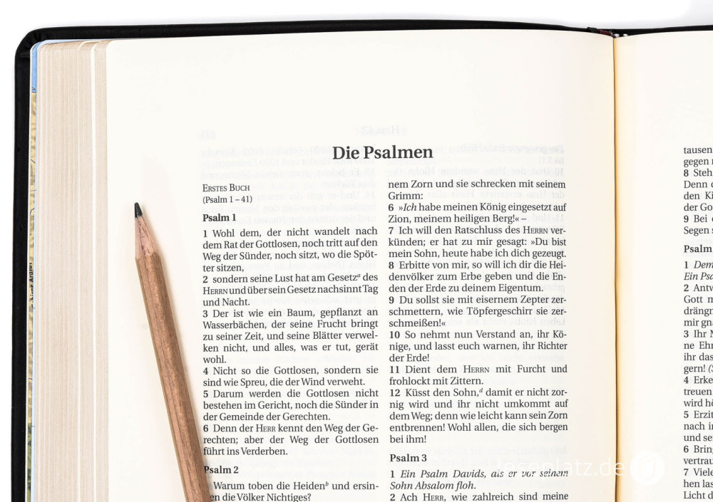 Schlachter 2000, Schreibrandausgabe, Kalbsleder-Einband, Fadenheftung, ohne Parallelstellen