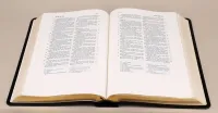 Elberfelder Schreibrandbibel CSV 724 Hückeswagen Grossausgabe - Leder schwarz, Goldschnitt,...