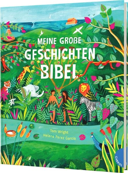 Meine große Geschichten-Bibel - Illustrierte Kinderbibel