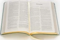 Anglais, Bible, New Living Translation, similicuir "Sauge", paroles de Jésus en rouge - NLT...