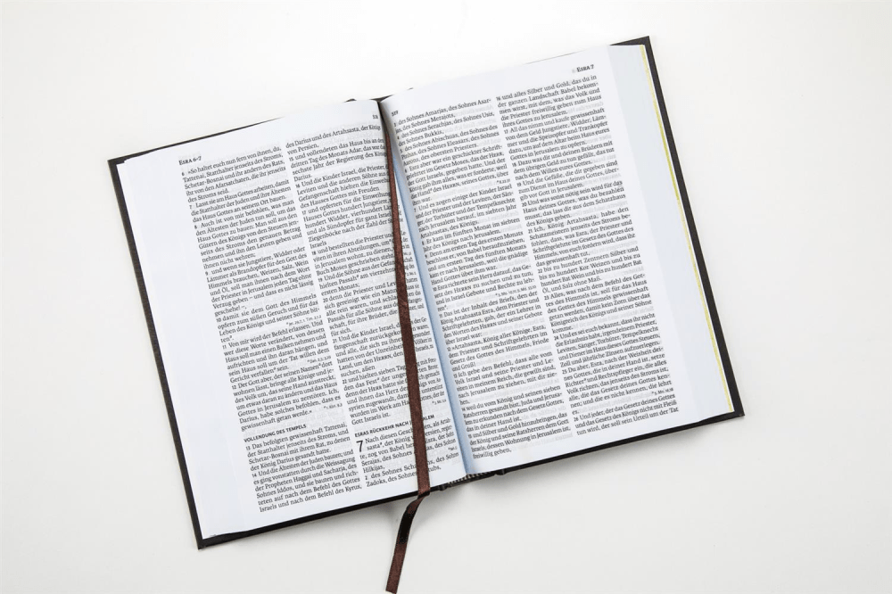 Luther 21 - Standardausgabe - Vintage Design - gebunden