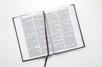 Luther 21 - Standardausgabe - Vintage Design - gebunden