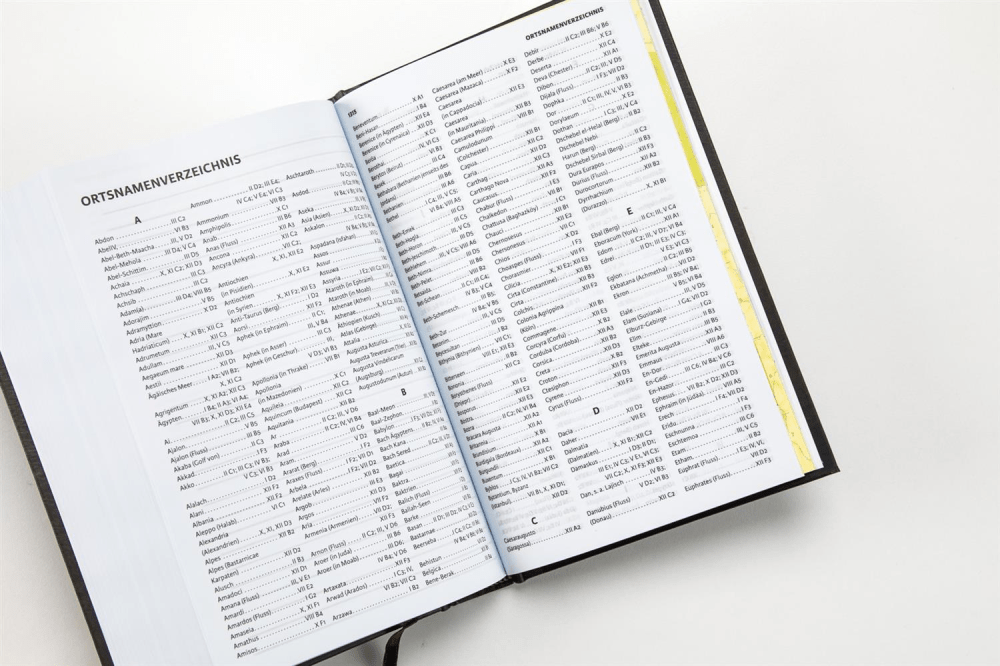 Luther 21 - Standardausgabe - Vintage Design - gebunden