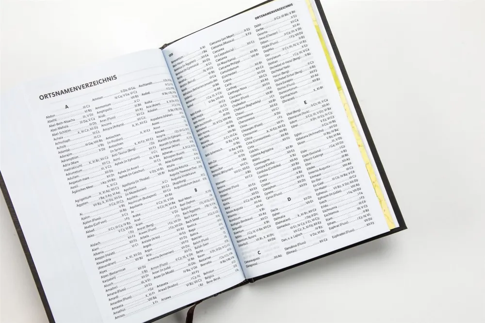 Luther 21 - Standardausgabe - Vintage Design - gebunden