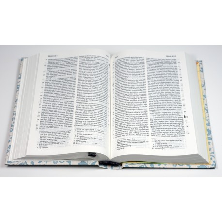 Elberfelder 2003 Bibel 771 Pocket, Rankmuster Edition Hückeswagen