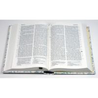 Elberfelder 2003 Bibel 771 Pocket, Rankmuster Edition Hückeswagen