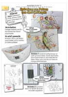 BASTELN zu biblischen Geschichten - Prima Ergänzung zu „Mit Kindern die Bibel entdecken, Band 2“...