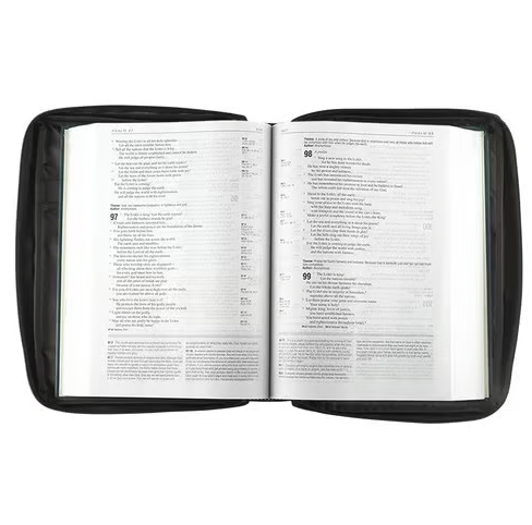 Bibelhülle Ichtus XS - schwarz, mit Reissverschluss, Seitentasche und Tragehenkel