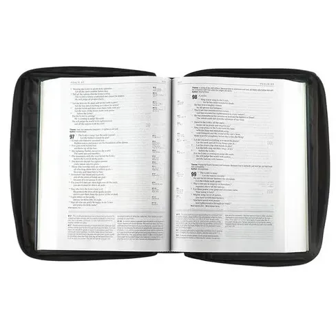 Bibelhülle Ichtus XS - schwarz, mit Reissverschluss, Seitentasche und Tragehenkel