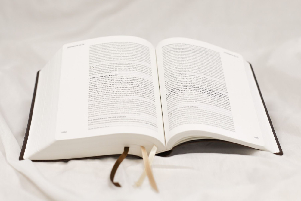 NeÜ bibel.heute Liebezurbibel - Flexibler Kunstledereinband - braun/dunkel mit Schreibrand