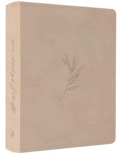 NeÜ bibel.heute Liebezurbibel (Schreibrandbibel OLIVE) - Flexibler Kunstledereinband - Beige mit...