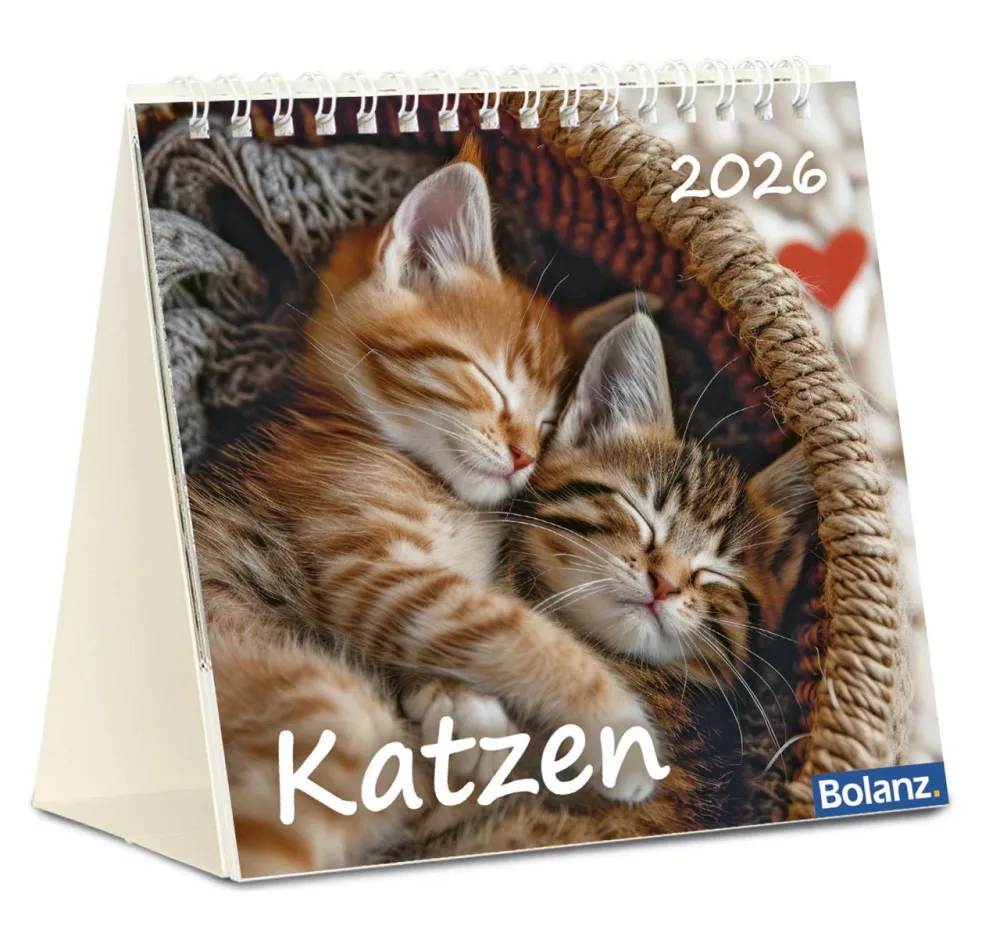 Kalender Katzen - Tischkalender