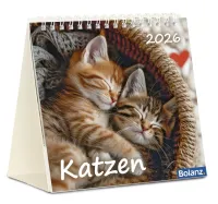 Kalender Katzen - Tischkalender